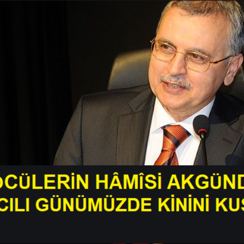 akgunduz_kinini_kustu_manset_s400_1